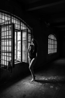 jaja-terezin-okna