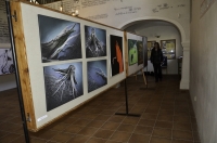 Výstava Dolní Kounice 2013