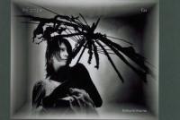 Galerie soutěžních PF