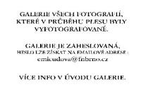 Galerie vytištěných fotografií