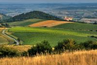 Alexandr KOLOVRATNÍK