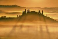 Vitezne fotografie TAMAPO 2015